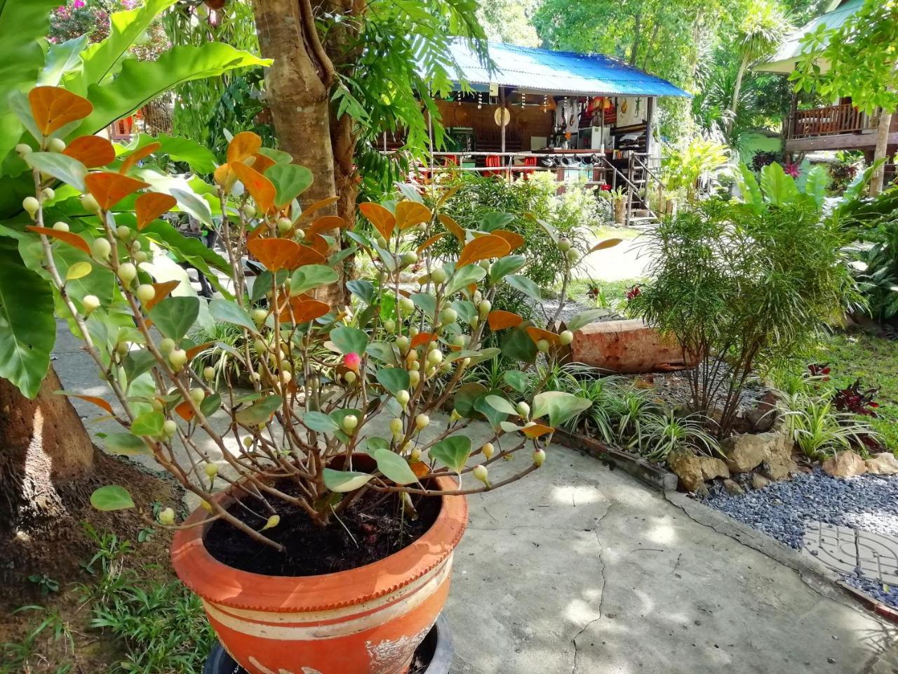 Macura Resort Ko Čang Exteriér fotografie