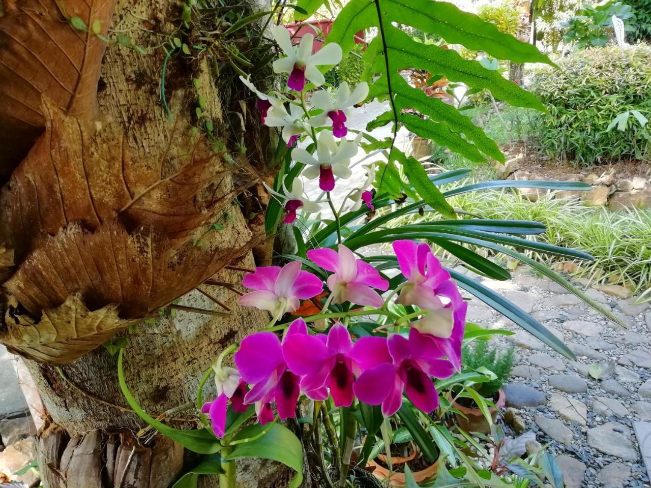 Macura Resort Ko Čang Exteriér fotografie